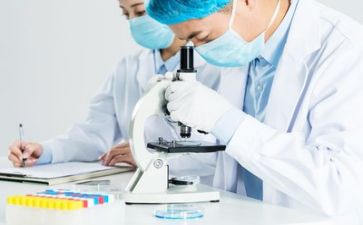 半年度质量工作总结通用8篇