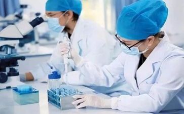 2024年质量年终总结推荐6篇
