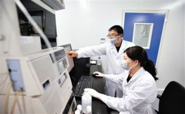 技术质量周工作计划6篇
