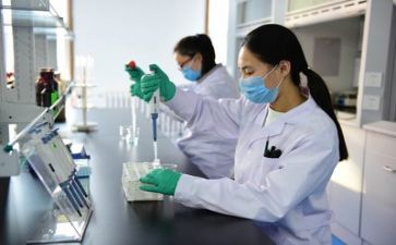 2024年质量部年度质量工作计划6篇