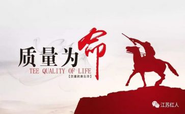 质量年活动总结精选8篇