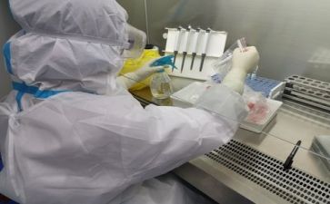 质量年活动总结6篇