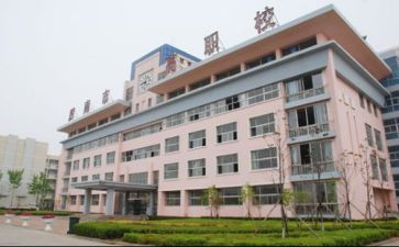 读职校的心得体会500字8篇