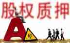 车辆质押合同优质6篇