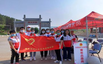 志愿者日志愿服务活动总结5篇