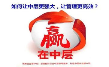 企业中层干部工作总结5篇