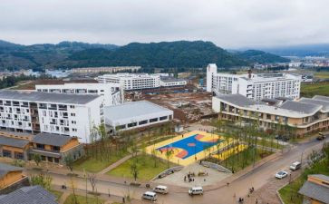 中心校2024年工作总结模板8篇
