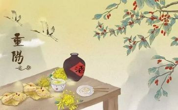 重阳节主题班会活动总结5篇