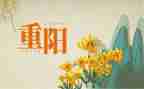 局重阳节活动总结精选5篇