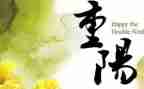 老年人重阳节活动总结8篇