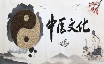 中医医生述职报告6篇