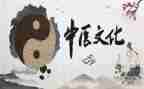 中医医生述职报告6篇