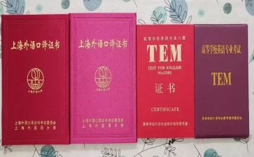 专八考试心得体会8篇