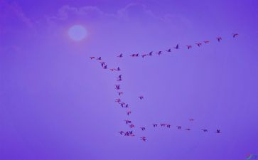 专业导论会计心得体会6篇