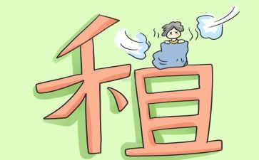 公租房转租合同6篇