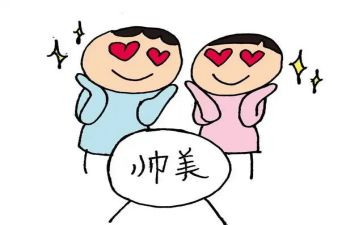 追星者作文7篇