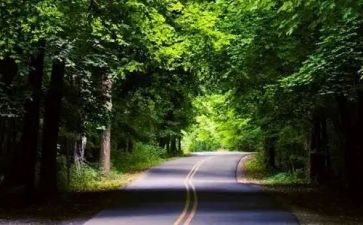 施工安全自检自查报告7篇