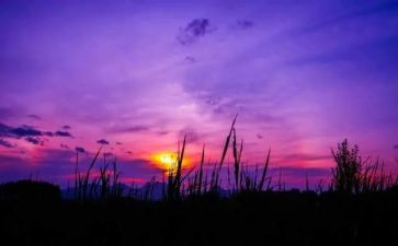 人类与自然的作文最新7篇