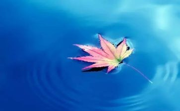 我在大自然里作文模板7篇
