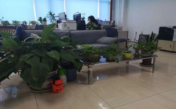综合部试用期工作总结7篇