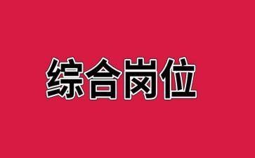 综合岗工作总结优秀5篇