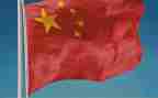爰祖国的演讲稿最新5篇