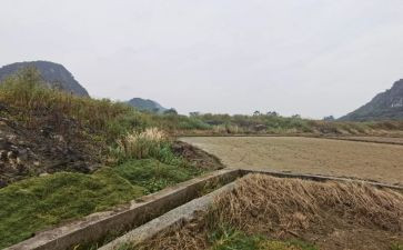 房屋租赁合同参考8篇