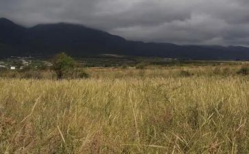 开公司租赁合同模板8篇