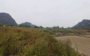 商铺房租赁合同模板7篇