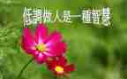 做人与作文作文优质7篇